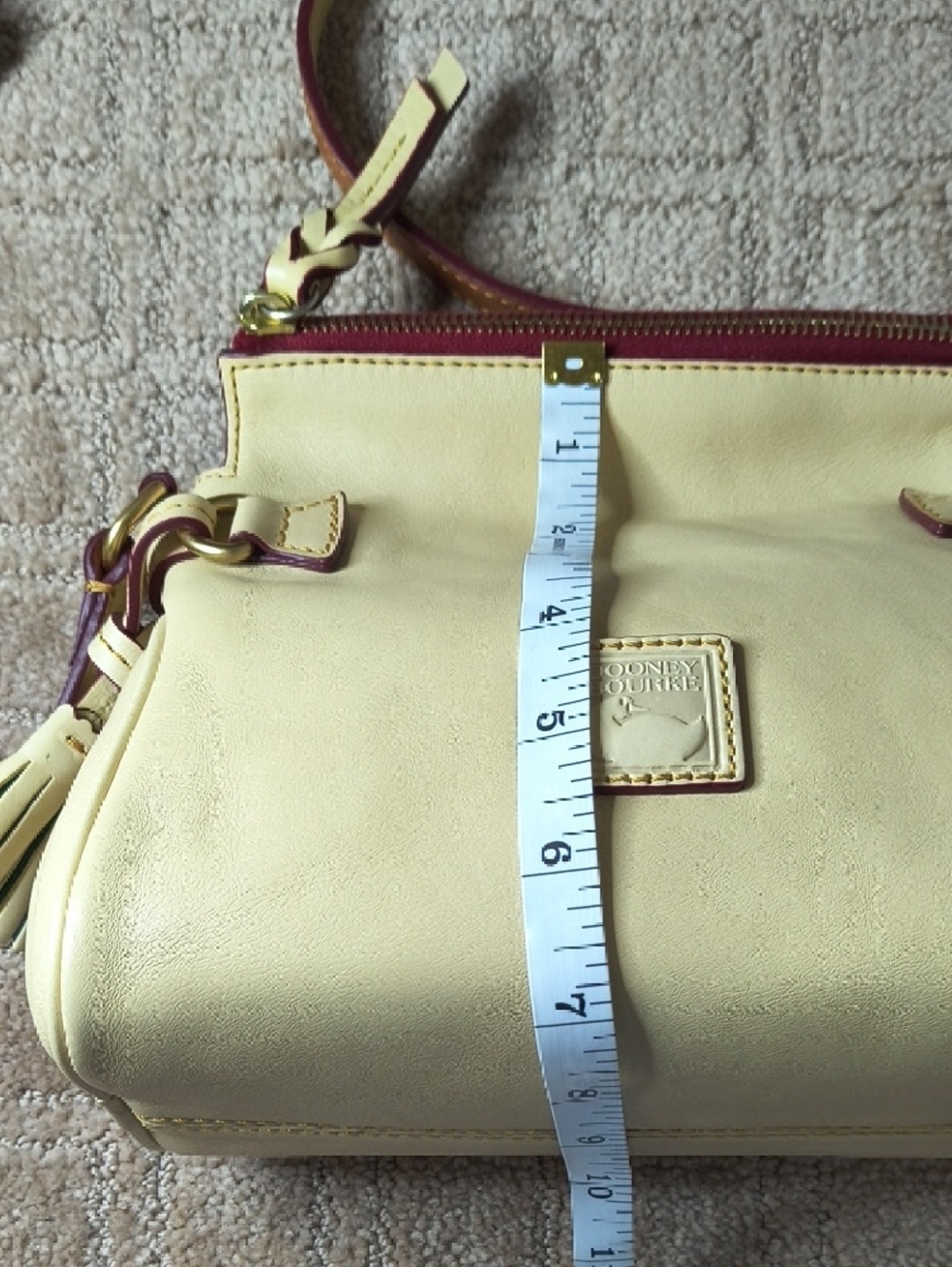 Dooney & Bourke Mini Zip Florentine Crossbody In Bone - Picture 10 of 12